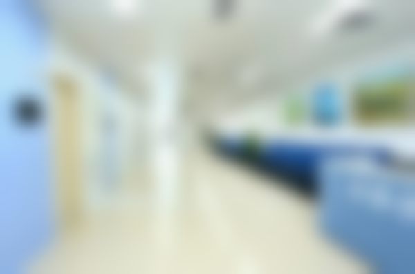 六、常见问题(FAQ)——关于价格与成效的解答