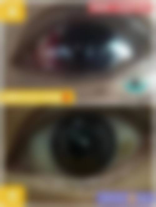 医生资质介绍