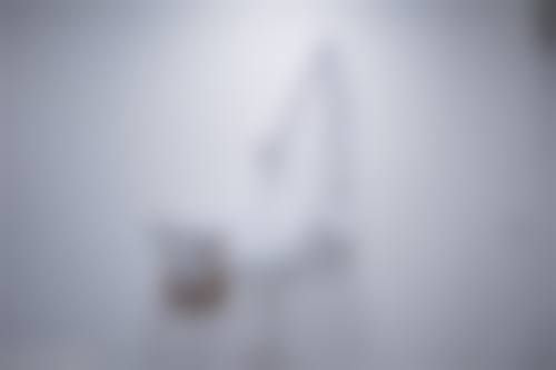 诊疗特色总结