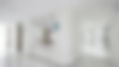 梁文树擅长项目列表
