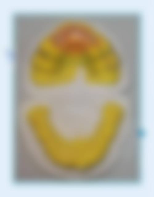 擅长项目详解