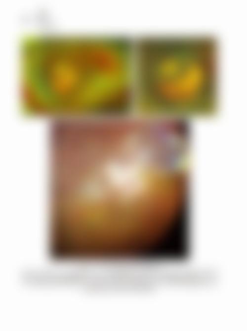 设备环境介绍:进口精密仪器,确保检测精细