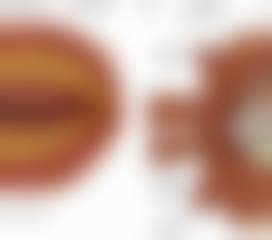 FAQ:常见疑问具有影响力解答